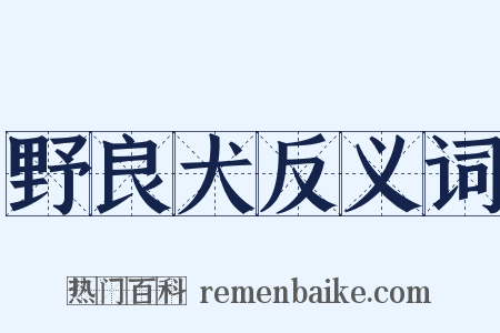 野良犬反义词是什么意思的图片